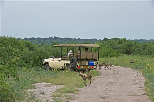 Sanctuary Chobe Chilwero